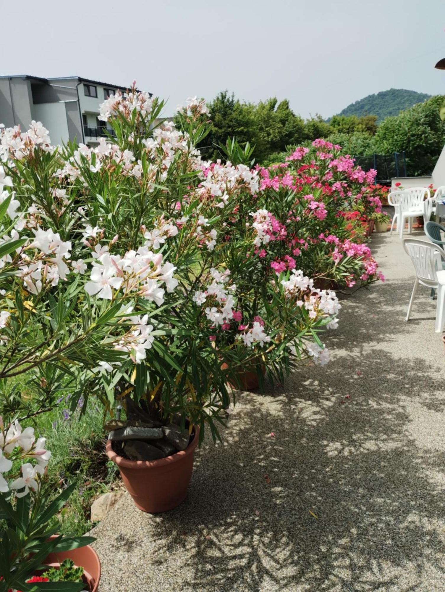 Apartmany Fantagiro Kaluža Esterno foto